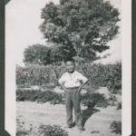 Boy standing in a vegetable field