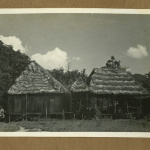 Plantation buildings