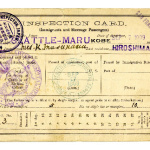 Inspection card (immigrants and steerage passengers)