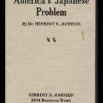 America's Japanese problem