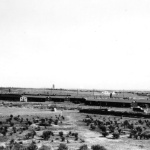 Panoramic view of Minidoka concentration camp, Idaho